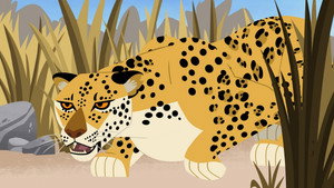 Stealthazar The Leopard