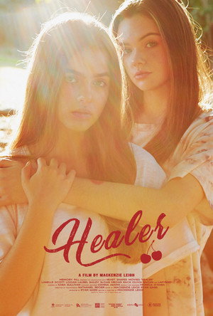 Healer poster