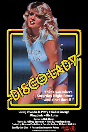 Disco Lady poster