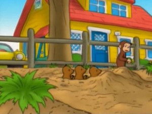Monkey Underground