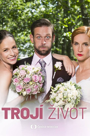 Double Trouble poster