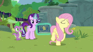 Friendship is Forever: Memnagerie