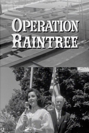 Operation Raintree poster