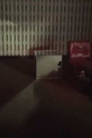 Interior (Fear) poster