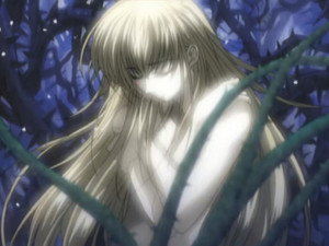 The White Petals