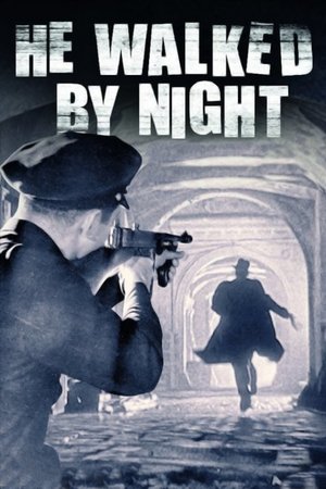 He Walked by Night poster