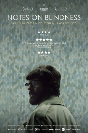 Notes on Blindness poster