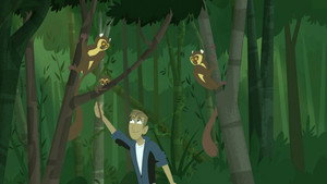 Golden Bamboo Lemur