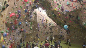 Climbing the Walls of Life