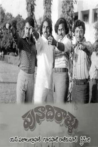 Punadhirallu