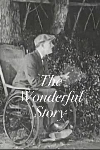 The Wonderful Story
