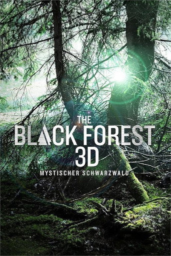 The Black Forest - Mystischer Schwarzwald