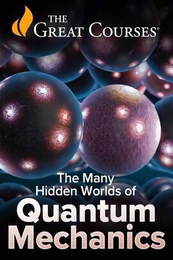 The Many Hidden Worlds of Quantum Mechanics
