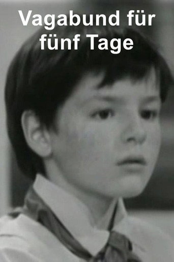 Vagabund für fünf Tage