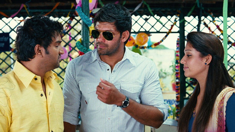 Gallery Stills