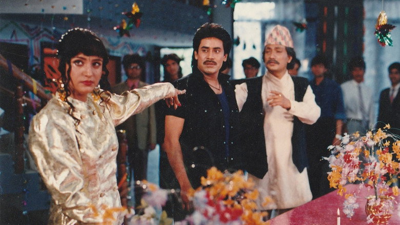 Gallery Stills