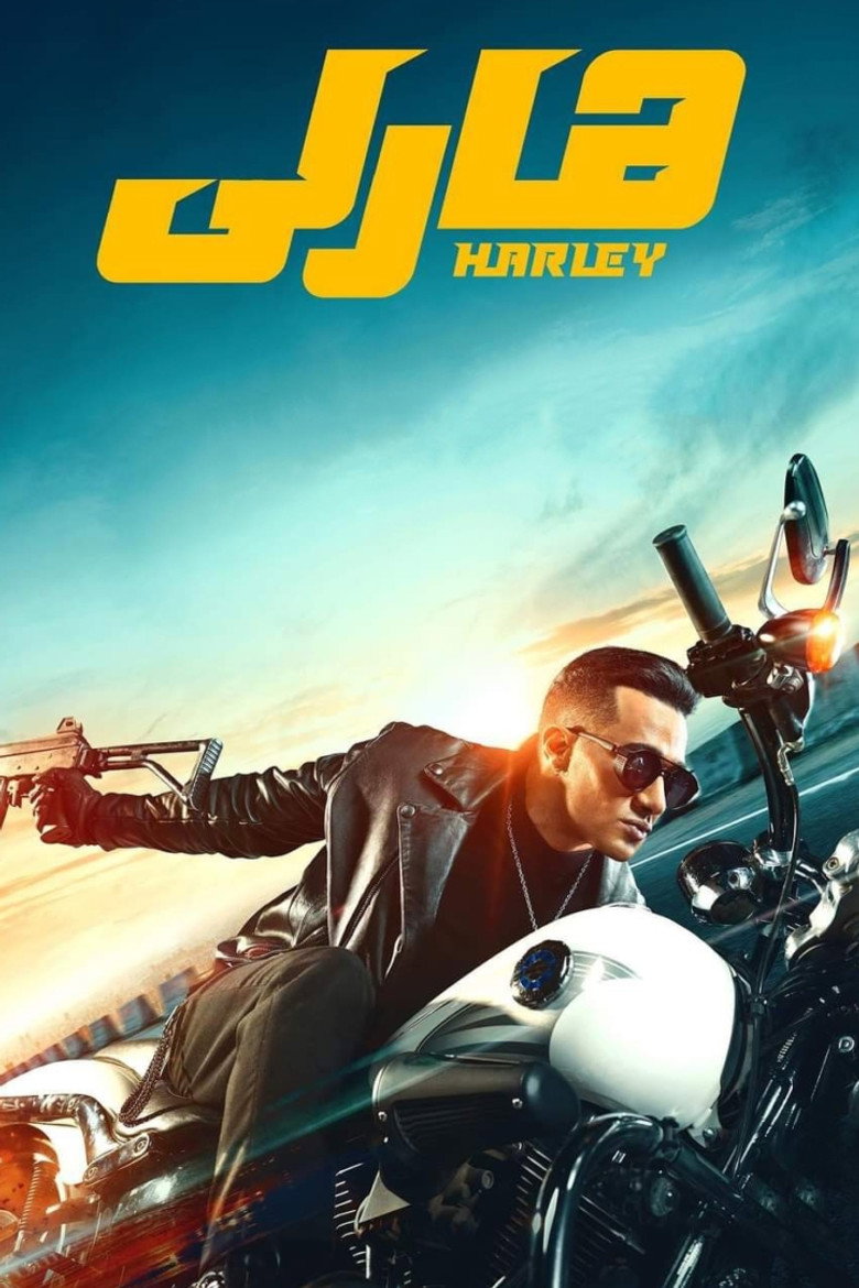 Gallery Stills