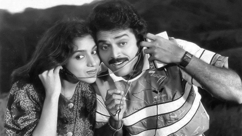 Gallery Stills