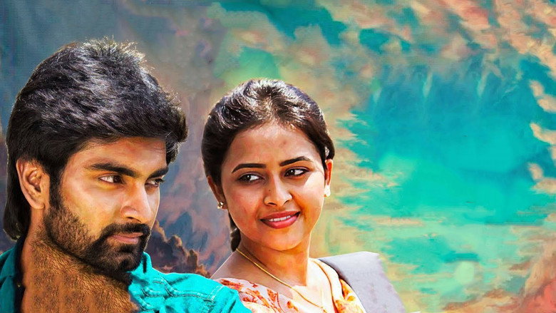 Gallery Stills