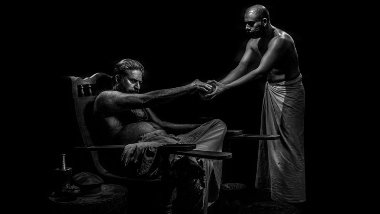 Gallery Stills