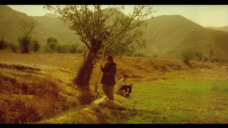 Gallery Stills
