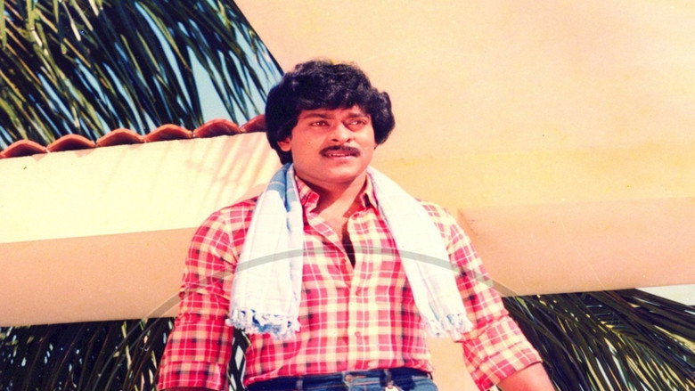 Gallery Stills