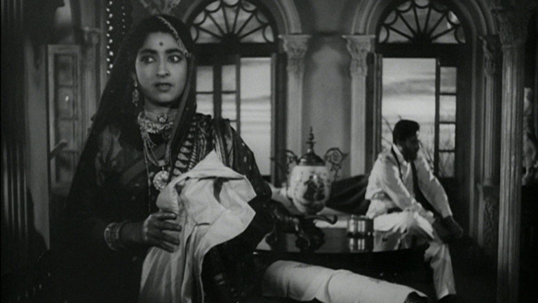 Gallery Stills