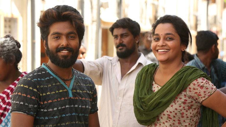 Gallery Stills