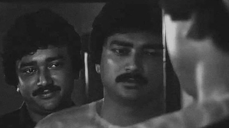 Gallery Stills
