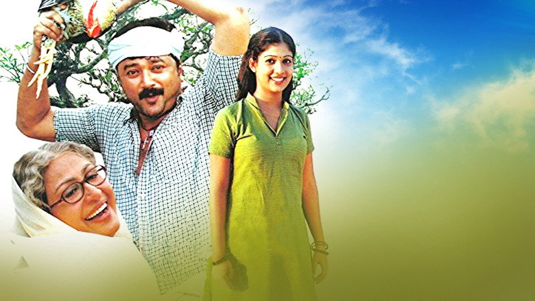 Gallery Stills