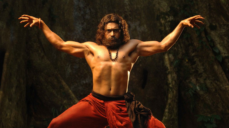Gallery Stills