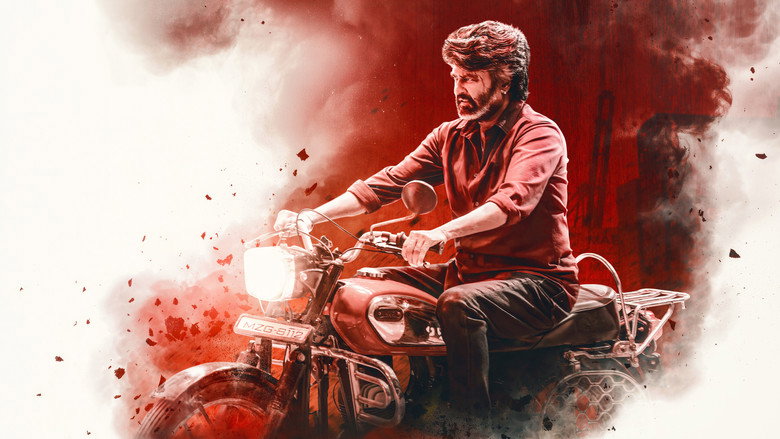 Gallery Stills