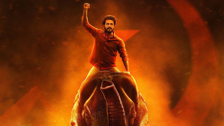 Gallery Stills