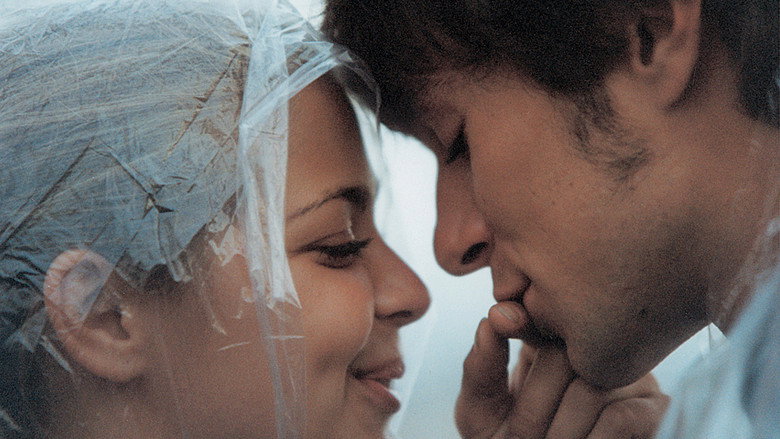 Gallery Stills
