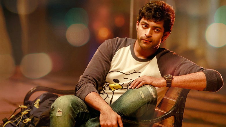 Gallery Stills