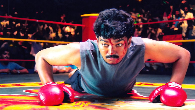 Gallery Stills