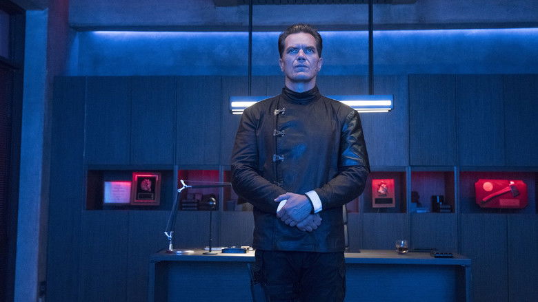 Gallery Stills