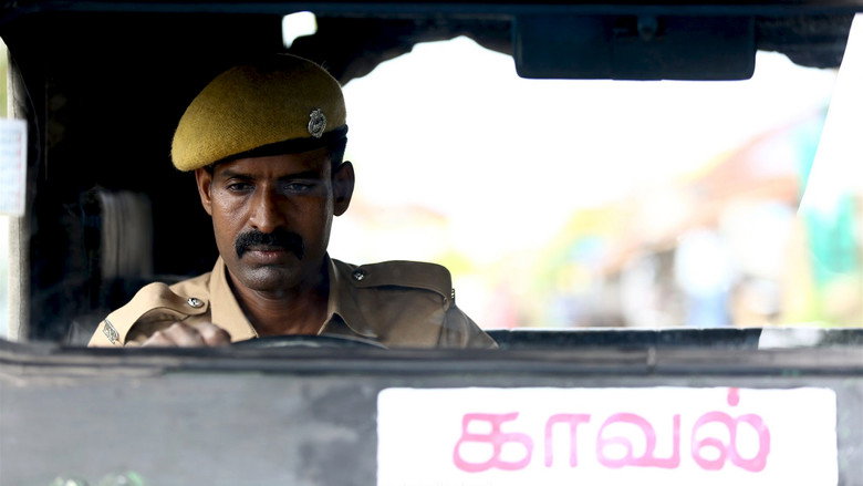 Gallery Stills