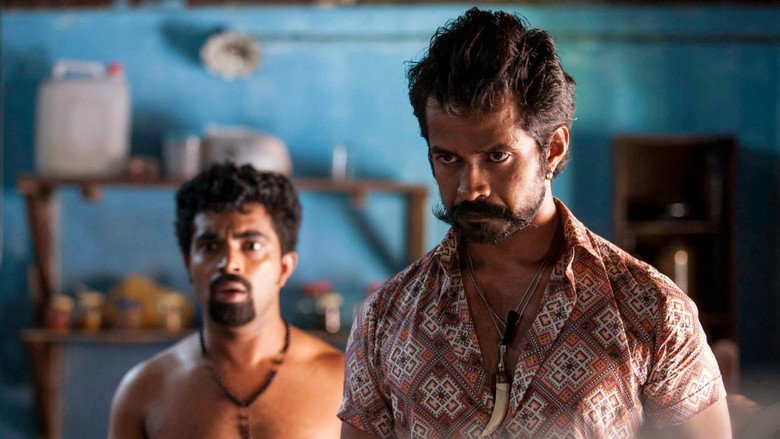 Gallery Stills