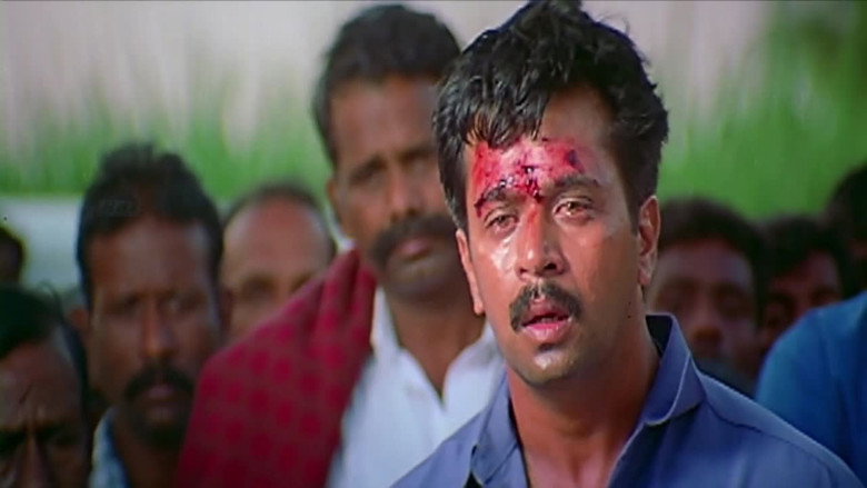 Gallery Stills