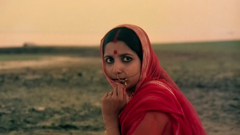 Gallery Stills