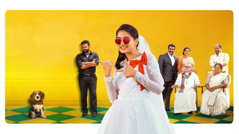 Gallery Stills