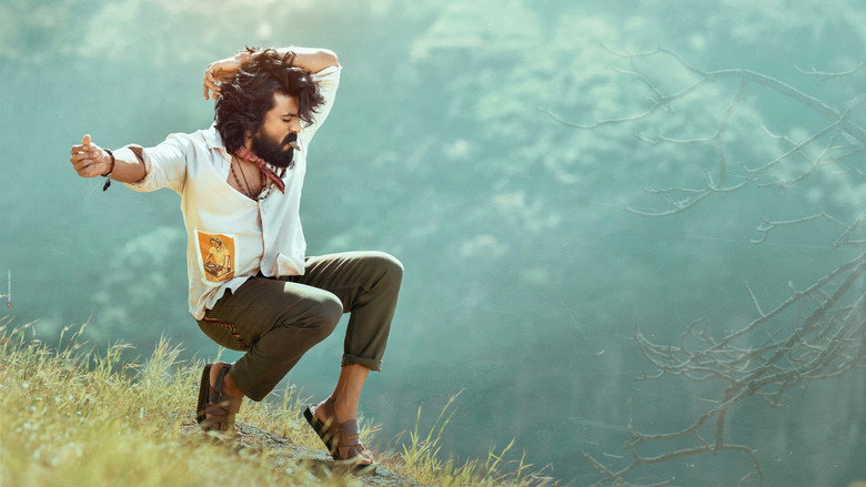 Gallery Stills