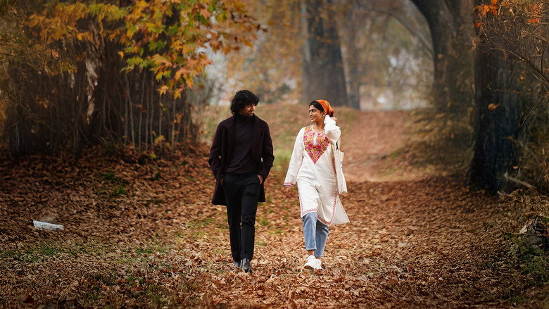 Gallery Stills