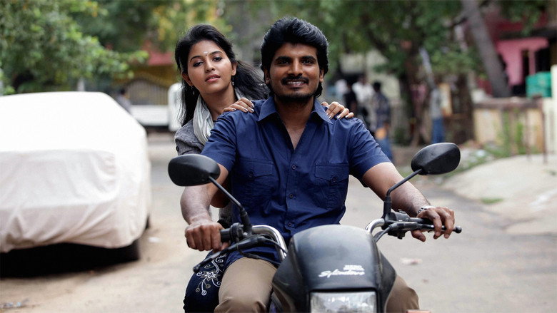 Gallery Stills