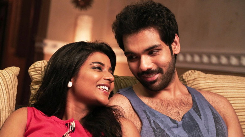 Gallery Stills
