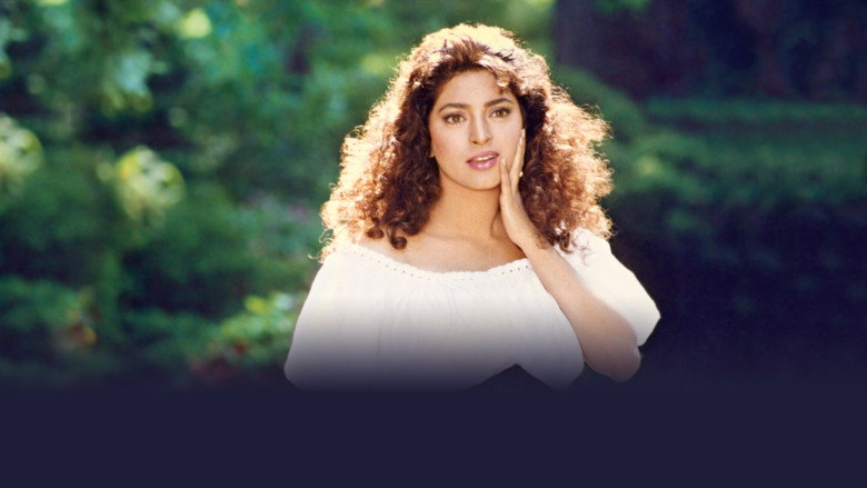 Gallery Stills
