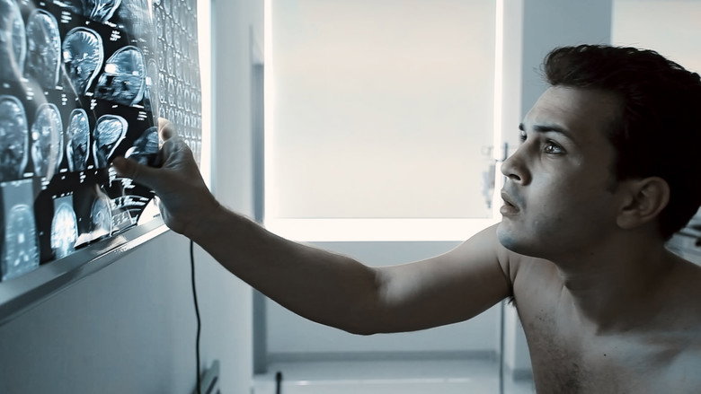 Gallery Stills