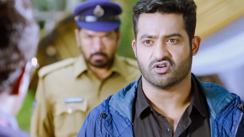 Gallery Stills