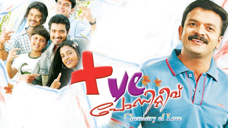 Gallery Stills